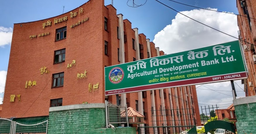 कृषि विकास बैंकले माग्यो शाखा प्रमुखदेखि लेखापालसम्म ११८ जना कर्मचारी